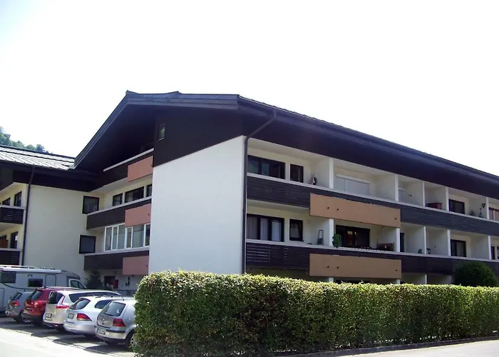 Am * Τσελ αμ Ζέε